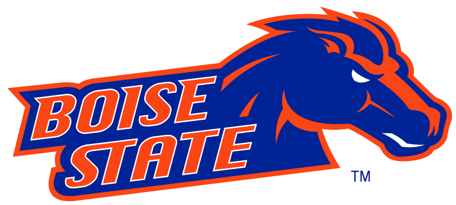 Boise State Broncos 2002-2012 Secondary Logo v9 t shirts iron on transfers